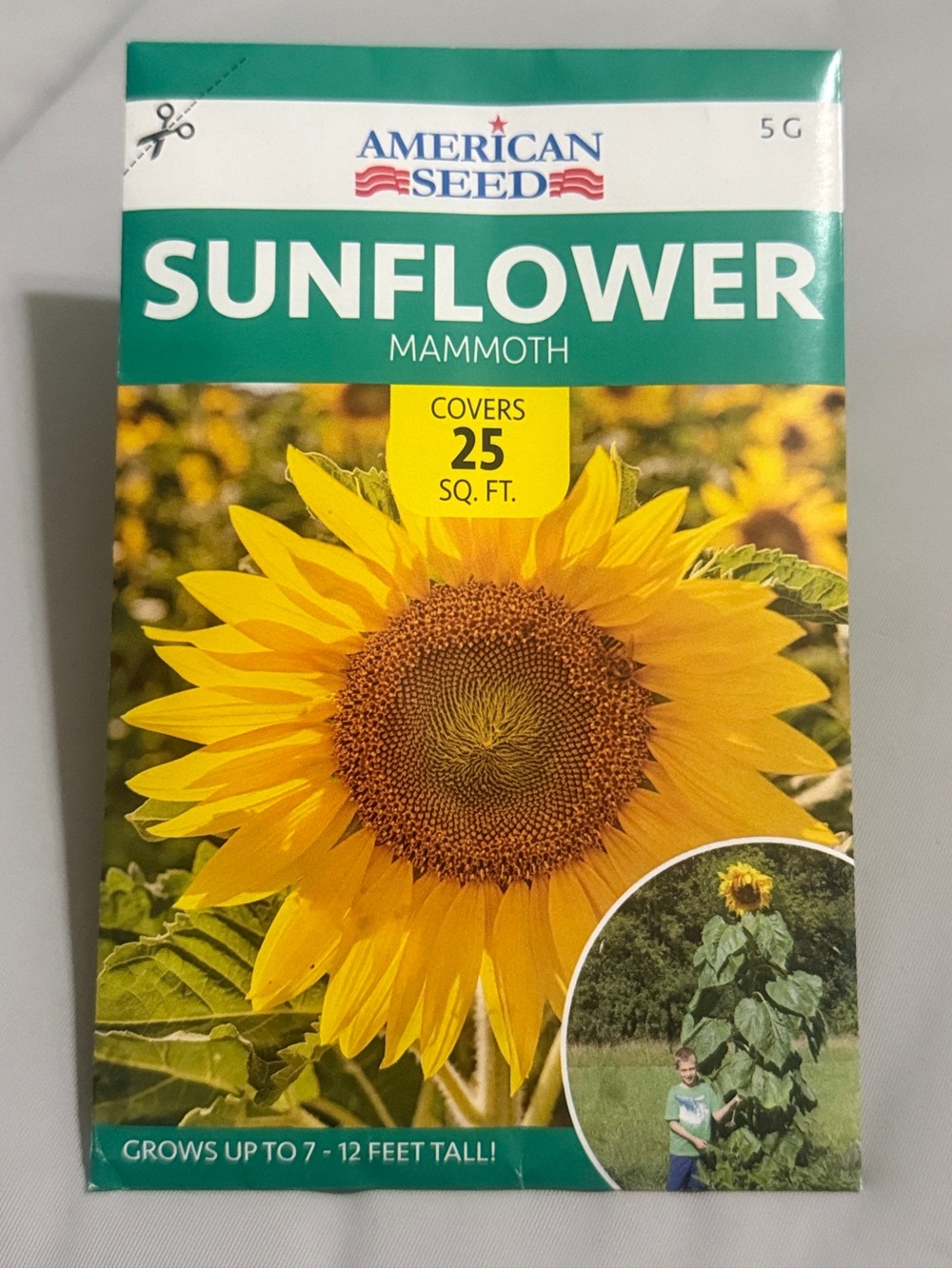 Sunflower Mammoth Seeds